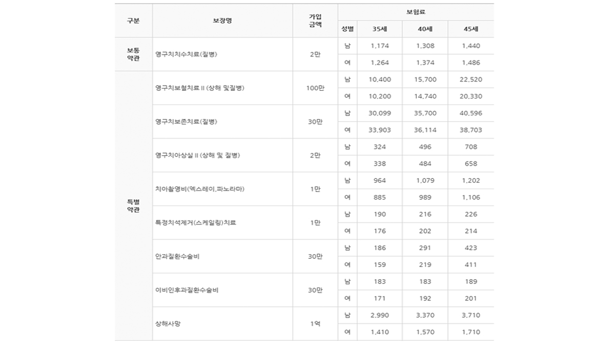 롯데손해 실속보장치아보험 롯데손해 실속보장치아보험