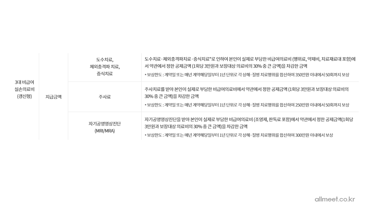 3대비급여실손의료비