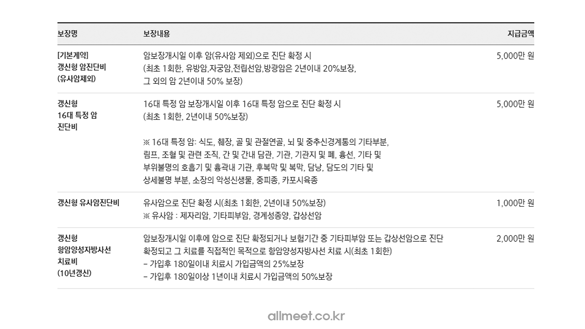 메리츠암보험 보장내용